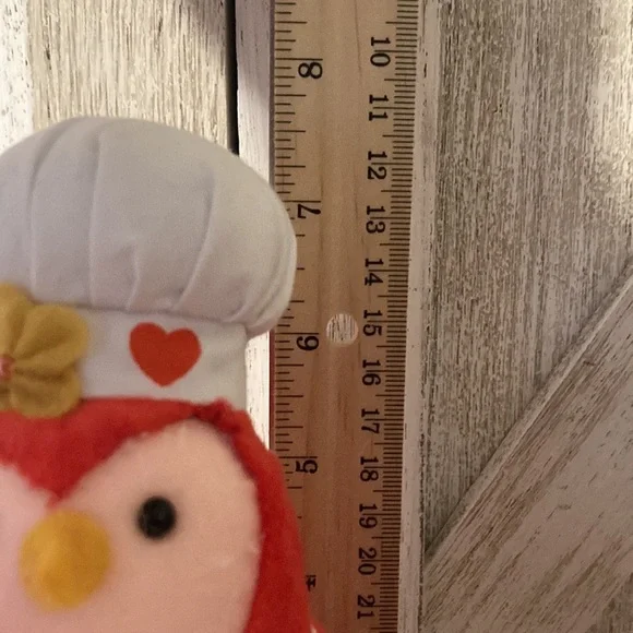 Target 2023 Spritz Featherly Friends Valentine’s Day Birds